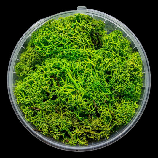 Lush Hedge Basing Material