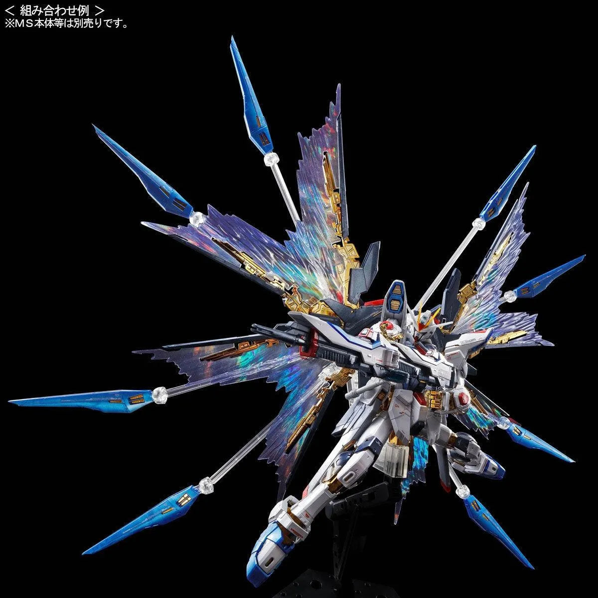 RG 1/144 Expansion Effect Unit "Wings of the Skies" for Strike Freedom Gundam - Premium Bandai
