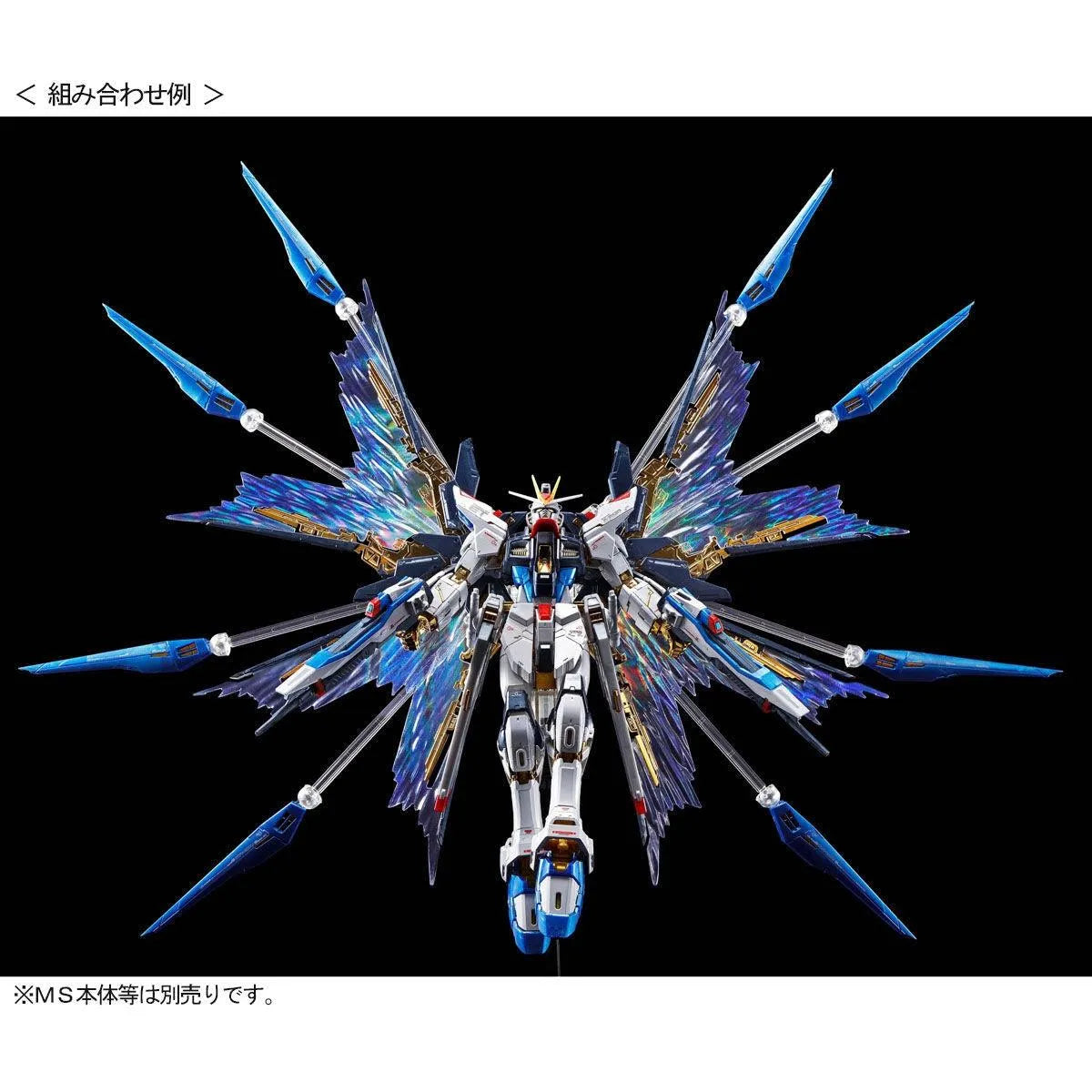RG 1/144 Expansion Effect Unit "Wings of the Skies" for Strike Freedom Gundam - Premium Bandai