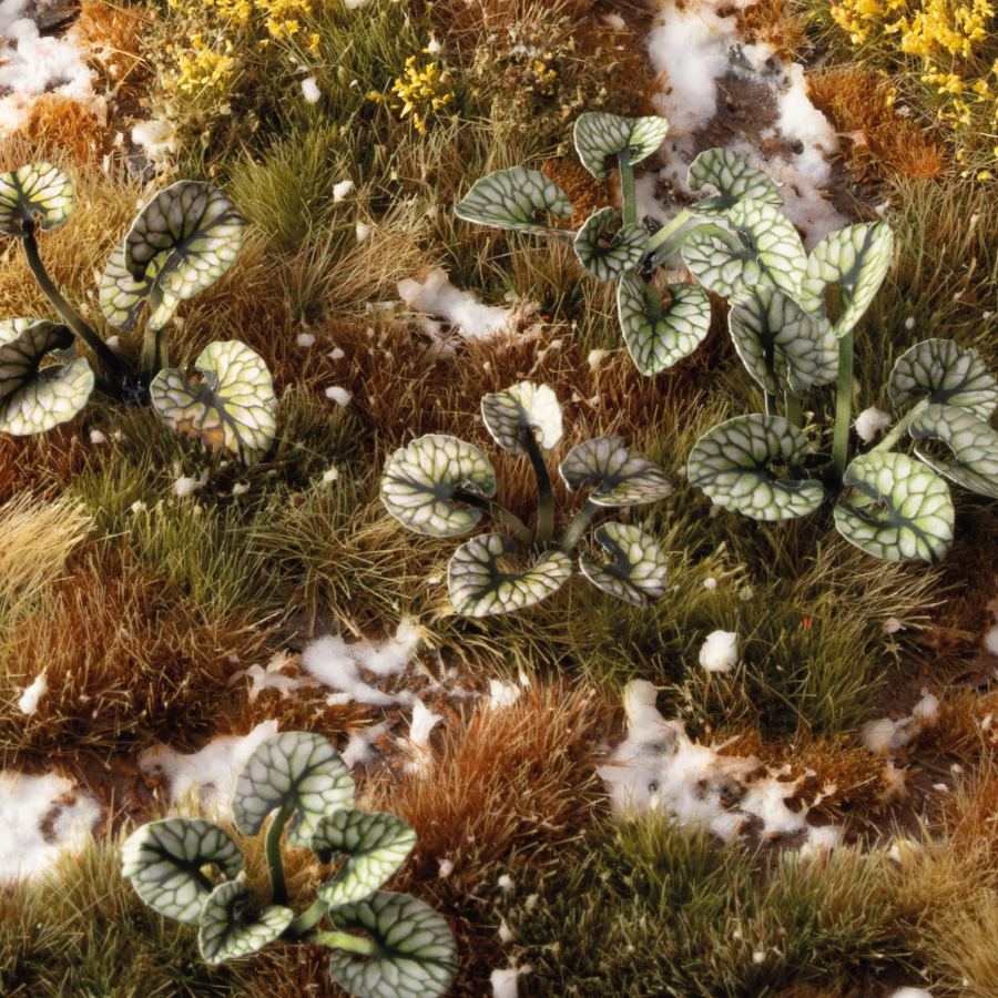 Gamers Grass Laser Plants - Bugloss used on a miniature scenic base