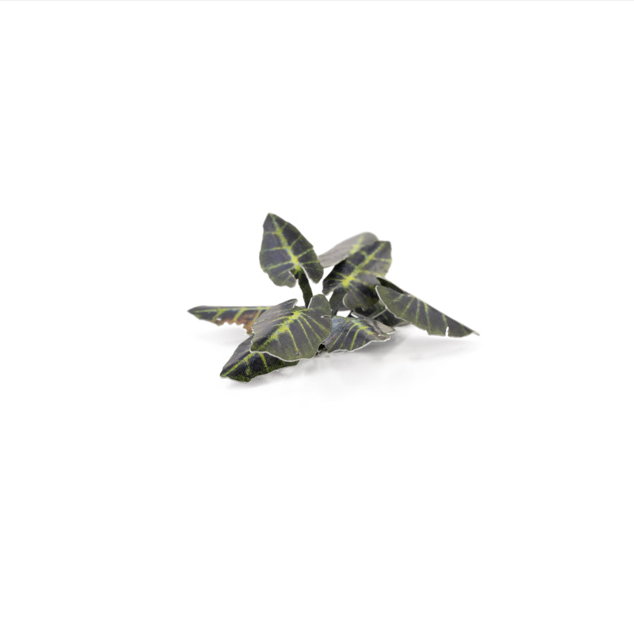 Gamers Grass Laser Plants - Black Magic Taro product image 2