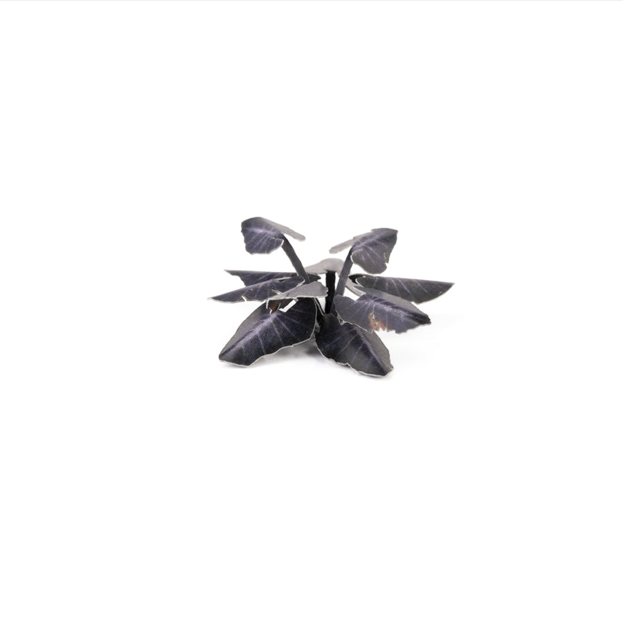 Gamers Grass Laser Plants - Black Magic Taro product image 4