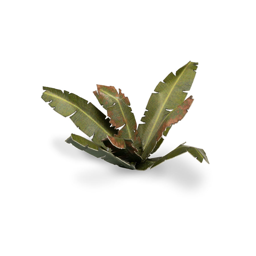 Gamers Grass Laser Plants - Banana Tree product image 5