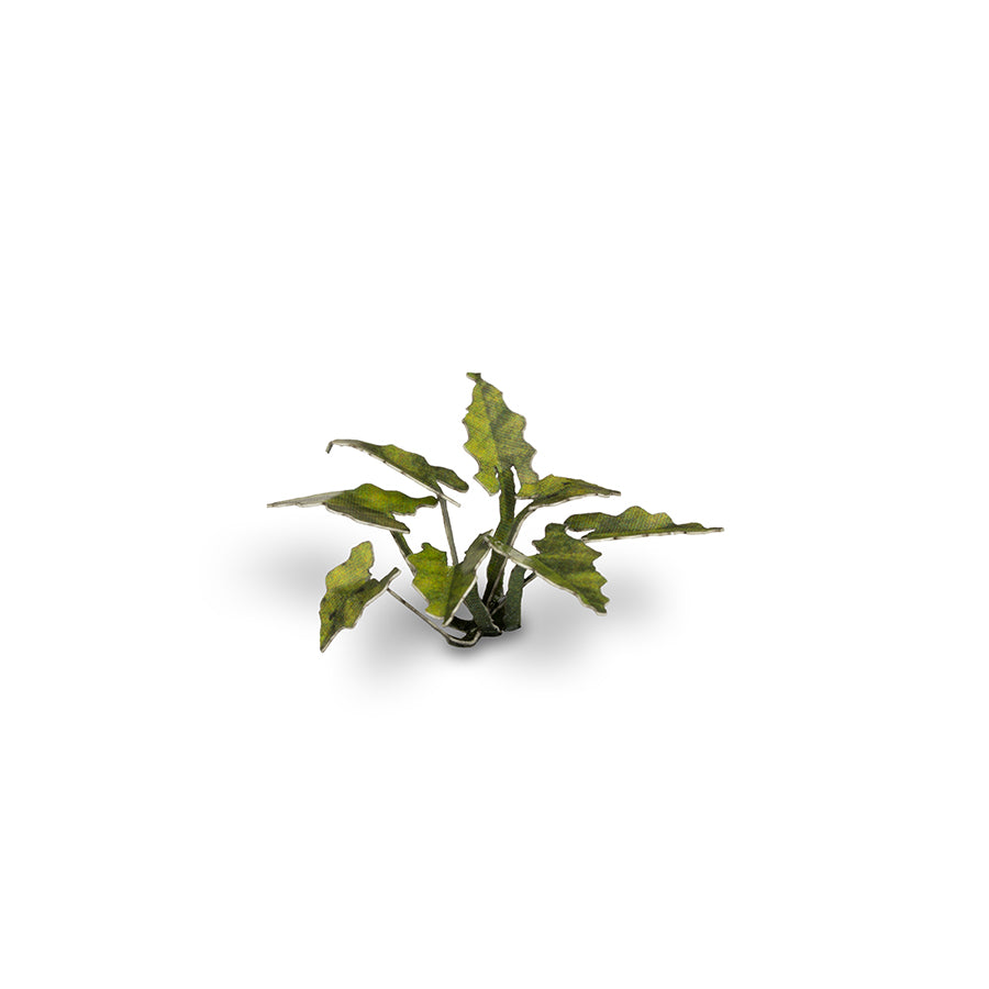 Gamers Grass Laser Plants - Lords-and-Ladies product image 5