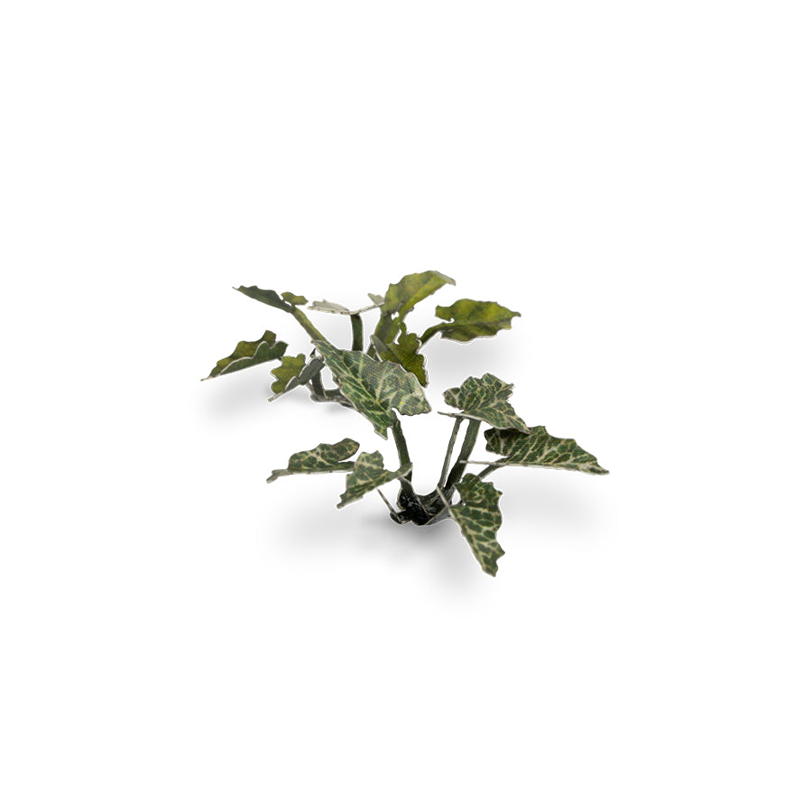 Gamers Grass Laser Plants - Lords-and-Ladies product image 6