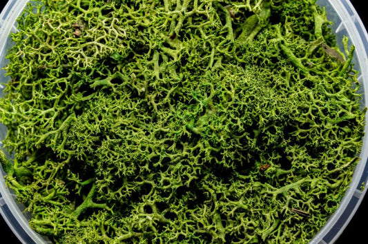 Green Hedge Basing Material