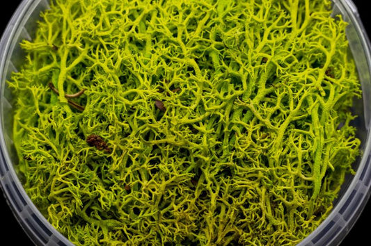 Toxic Hedge Basing Material
